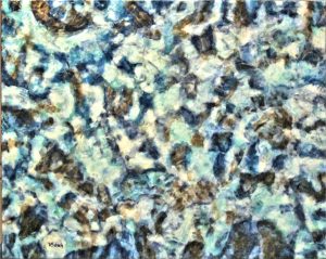 Versunkene Schaetze II, Acrylgemälde von Wally Bistrich , 80 x 100 x 4,5 cm